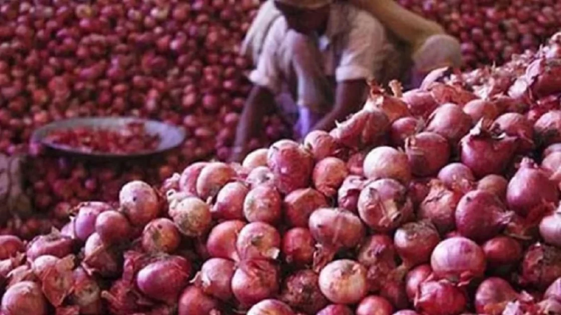 আমদানি পেঁয়াজেও ৩ গুণ মুনাফা