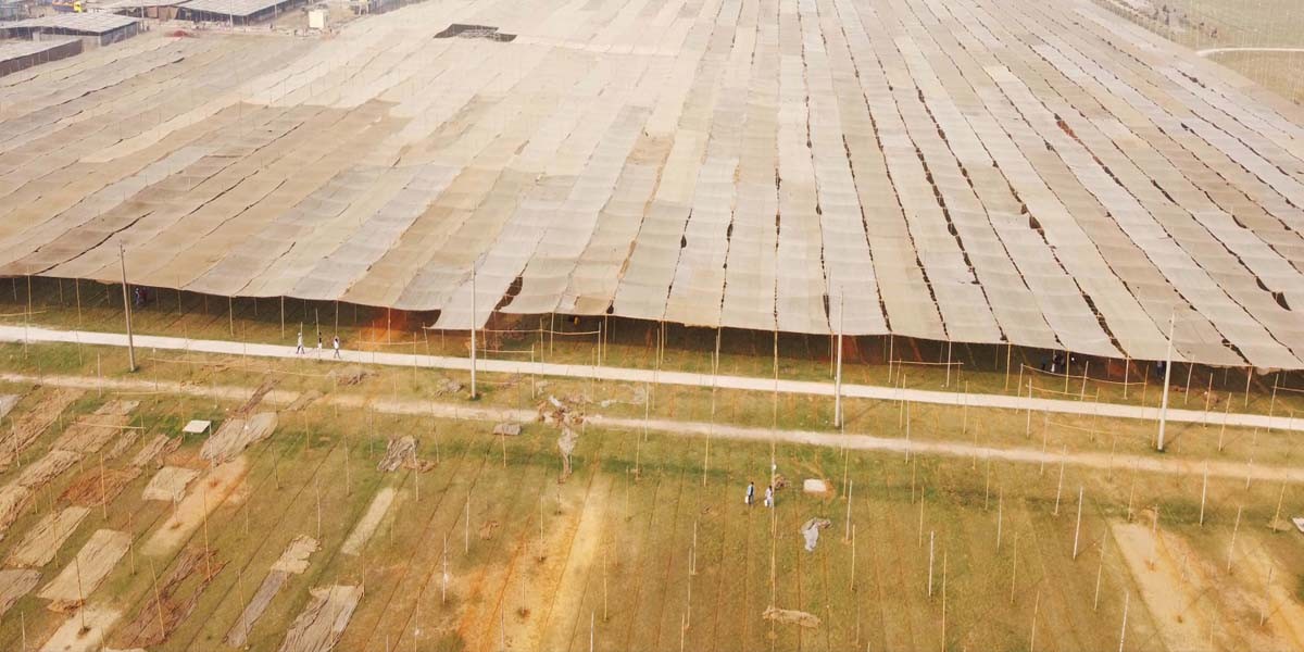 বিশ্ব ইজতেমা: চট সংকট, শামিয়ানা আনতে হবে মুসল্লিদের